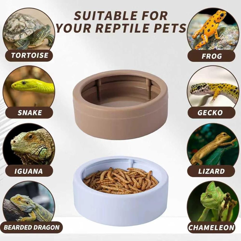 จานอาหารสัตว์เลื้อยคลานแบบพกพา - Water Dish Reptile บทวิจารณ์และราคา
