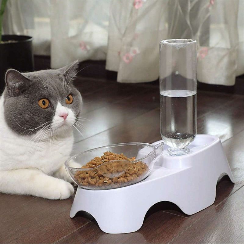 ชุดชามอาหารและน้ำสำหรับสัตว์เล - Royal Canin Food Medium บทวิจารณ์และราคา